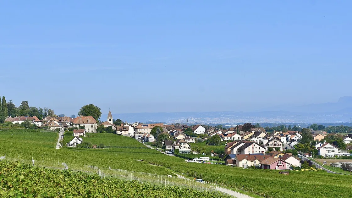 Le village de Bursins vu depuis les vignes, le lac Léman au fond
