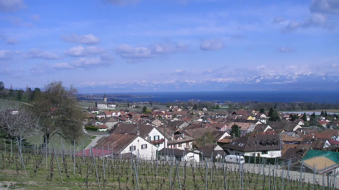 Le village de Gilly au milieu de ses vignes, le lac et les Alpes au fond