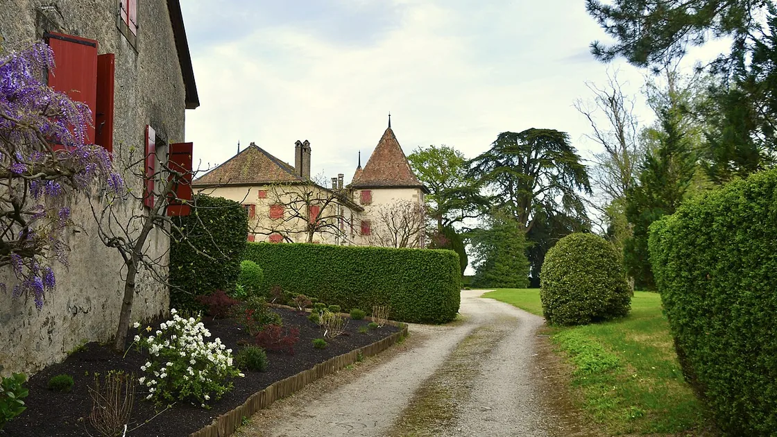 Le château de Perroy au bout d'une allée bordée de haies taillées